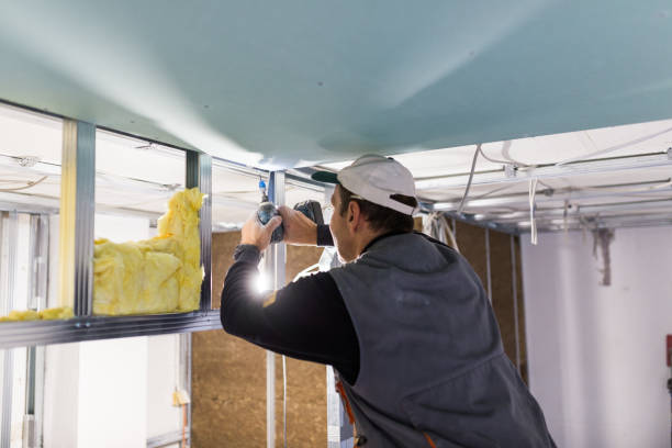 Best Blown-in Insulation in Oreana, IL