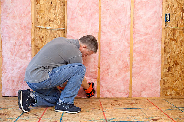 Best Spray Foam Insulation in Oreana, IL